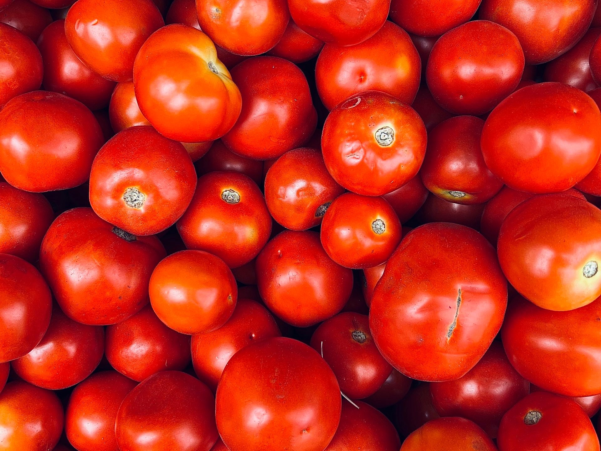 Allergens & Dietary Ripe tomatoes close up